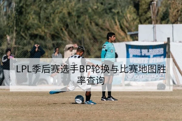 LPL季中赛小组积分榜与胜负率数据查询